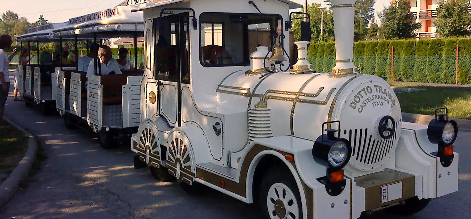 Sightseeing and Excursions with the Dotto Train